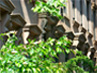 contact_3cobble